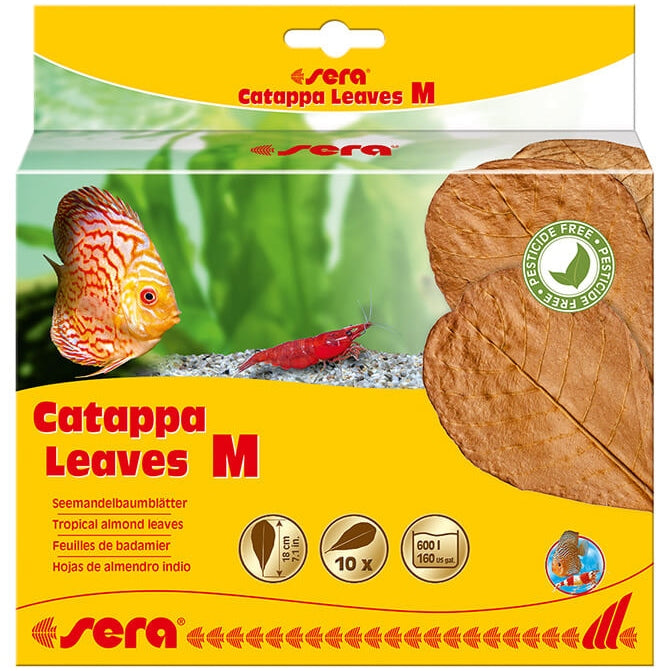 Catappa Leaves M 18 Cm 10 Pcs. Sera