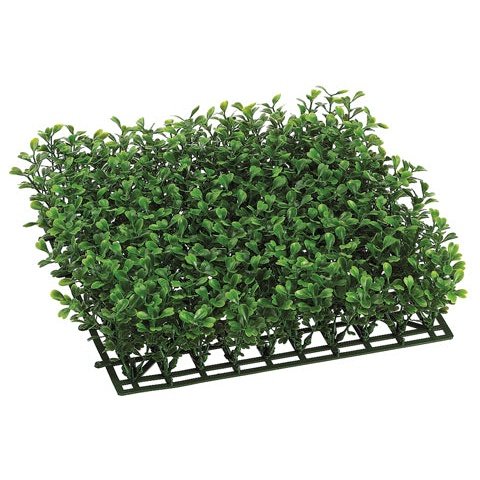 10" Boxwood Mat Green Tideline Naturescapes