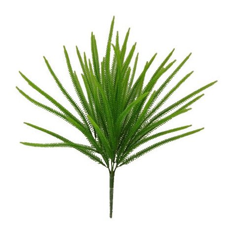 7.5" Millet Grass Bush x 5 Green Tideline Naturescapes