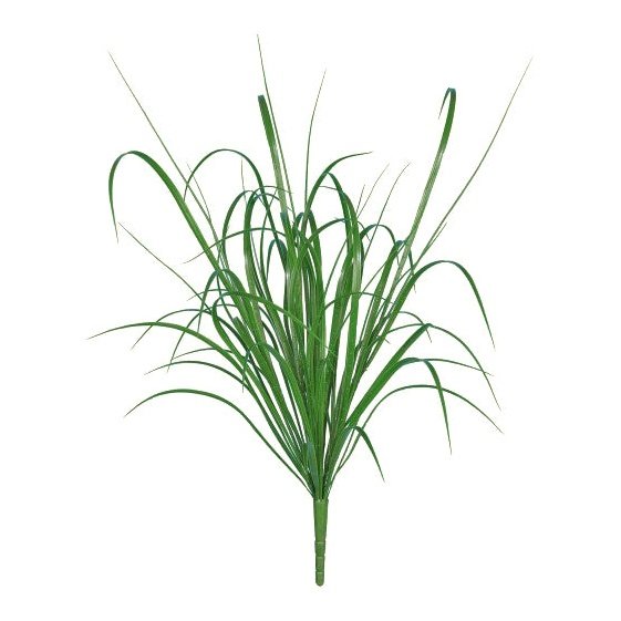 35" Grass Bush x 60L Green Tideline Naturescapes