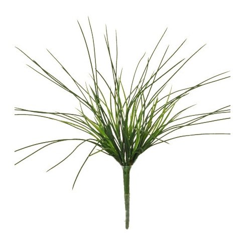 21" Mountain Grass Bush x 8 w/108L - Green Tideline Naturescapes