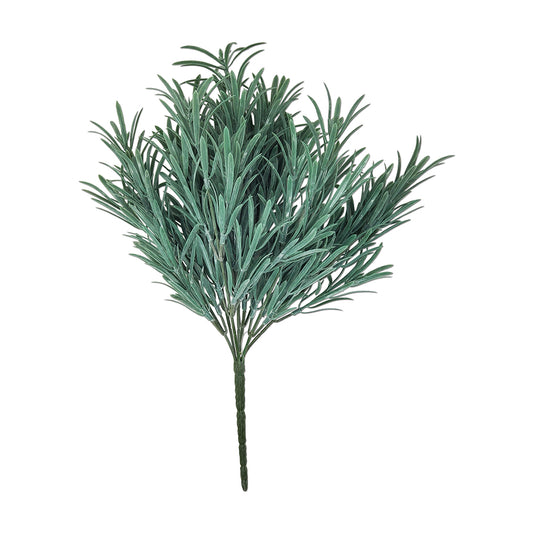 8" Podocarpus Bush (Frosted) Tideline Naturescapes