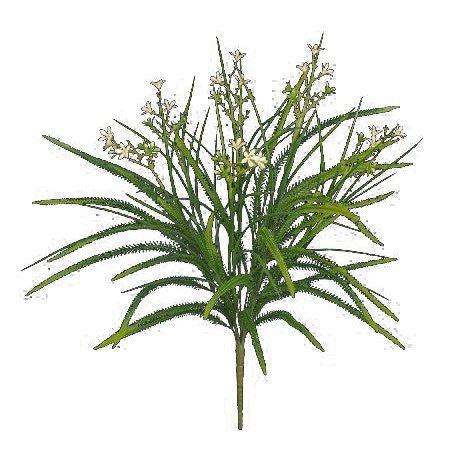 17" Astible Star Flower/Millet Grass Cream Tideline Naturescapes