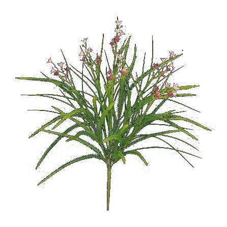 17" Astible Star Flower/Millet Grass Purple Tideline Naturescapes