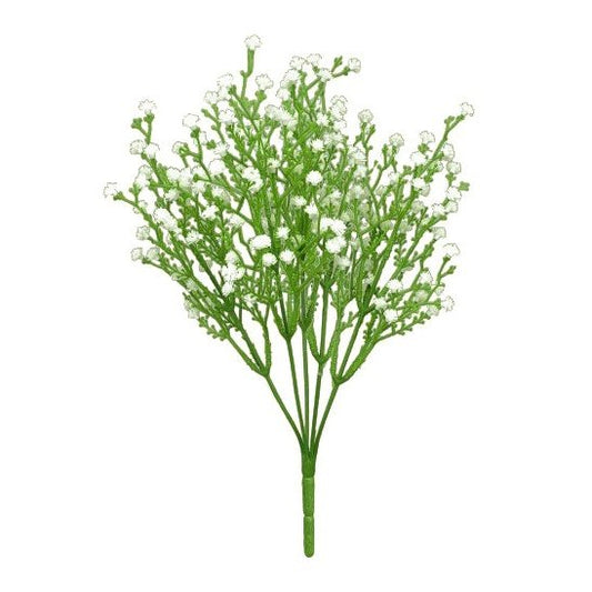 12" Gysophilia Bush x 6 - White Tideline Naturescapes