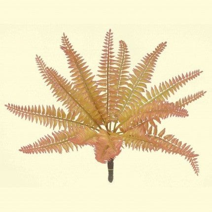 11" Fern Bush (Fall) Tideline Naturescapes