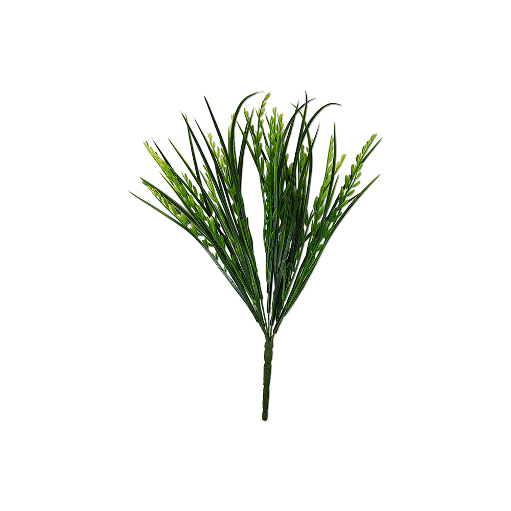 15" Mountain Grass / Iva Axillaris Bush Green Tideline Naturescapes