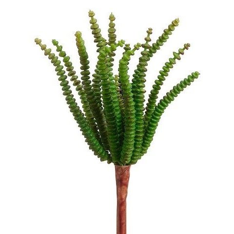 7.4" Worm Succulent Pick Green Tideline Naturescapes