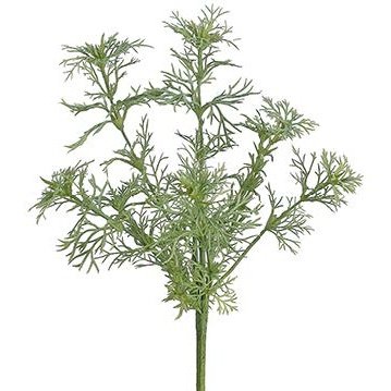 9.5" Dill Bush Green Tideline Naturescapes