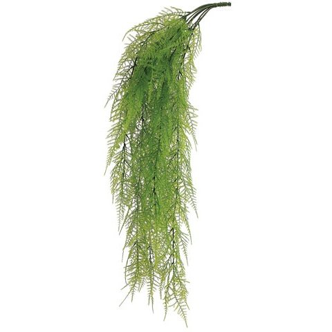 33" Asparagus Fern Green/Light Green Tideline Naturescapes