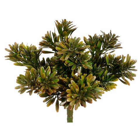 9" Succulent Grass Bush Green/Brown Tideline Naturescapes