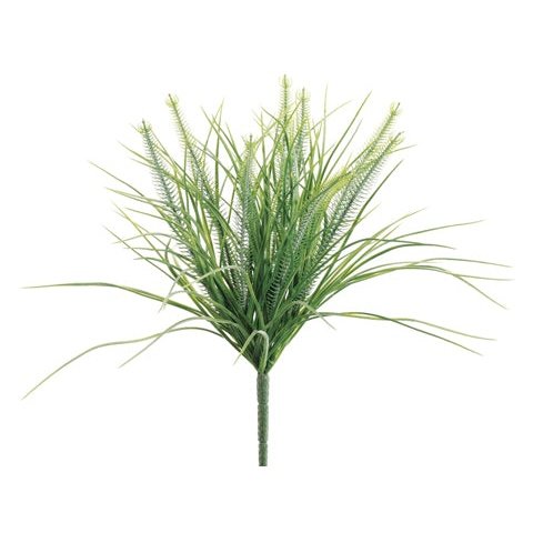 13" Monkey Grass Bush Green/Two Tone Tideline Naturescapes