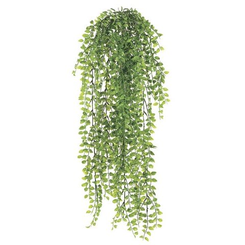 32" Small Pea Leaf Bush Green Tideline Naturescapes