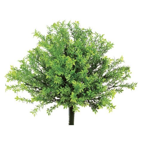 15" Tea Leaf Bush Green Tideline Naturescapes