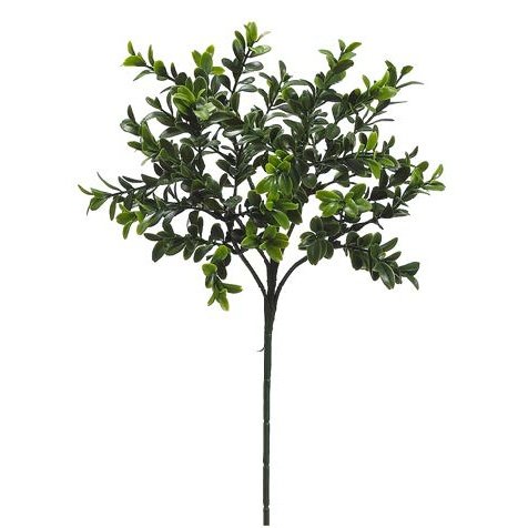 18.5" Boxwood Spray Tideline Naturescapes