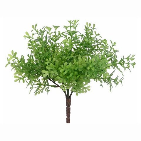 8" Thyme Bush Green Tideline Naturescapes