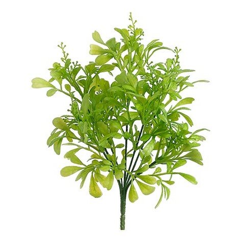 10" Odorata Leaf Bush Green Tideline Naturescapes