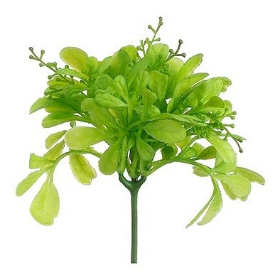 8" Odorata Leaf Pick Green Tideline Naturescapes