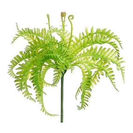 8" Mini Fern Pick Green Tideline Naturescapes