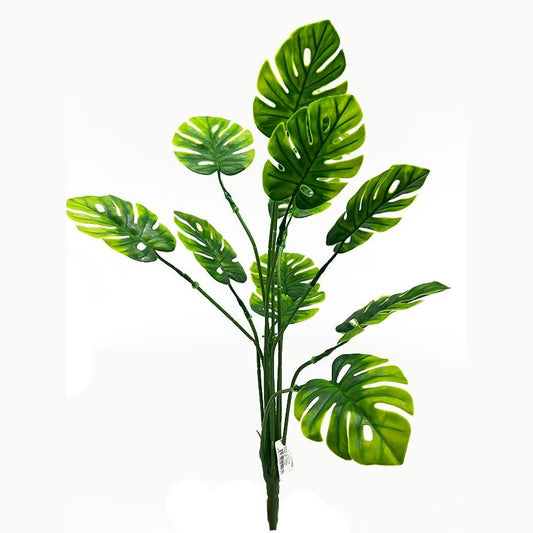 20" Monstera Tideline Naturescapes