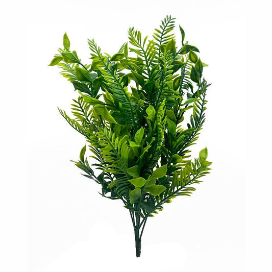 14" Boxwood Fern Tideline Naturescapes