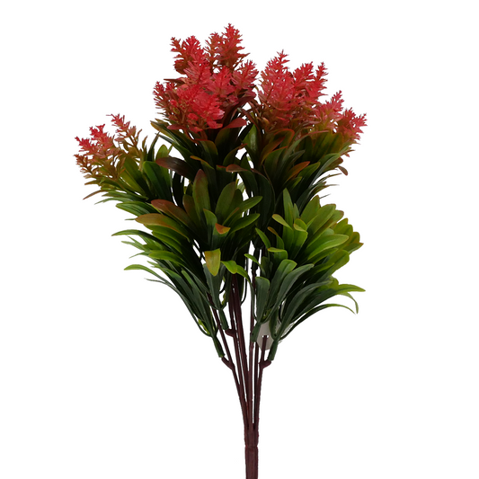 14" Bluebell Amaranth Mini - RED Tideline Naturescapes