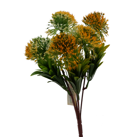 12" Bluebell Allium - YELLOW Tideline Naturescapes