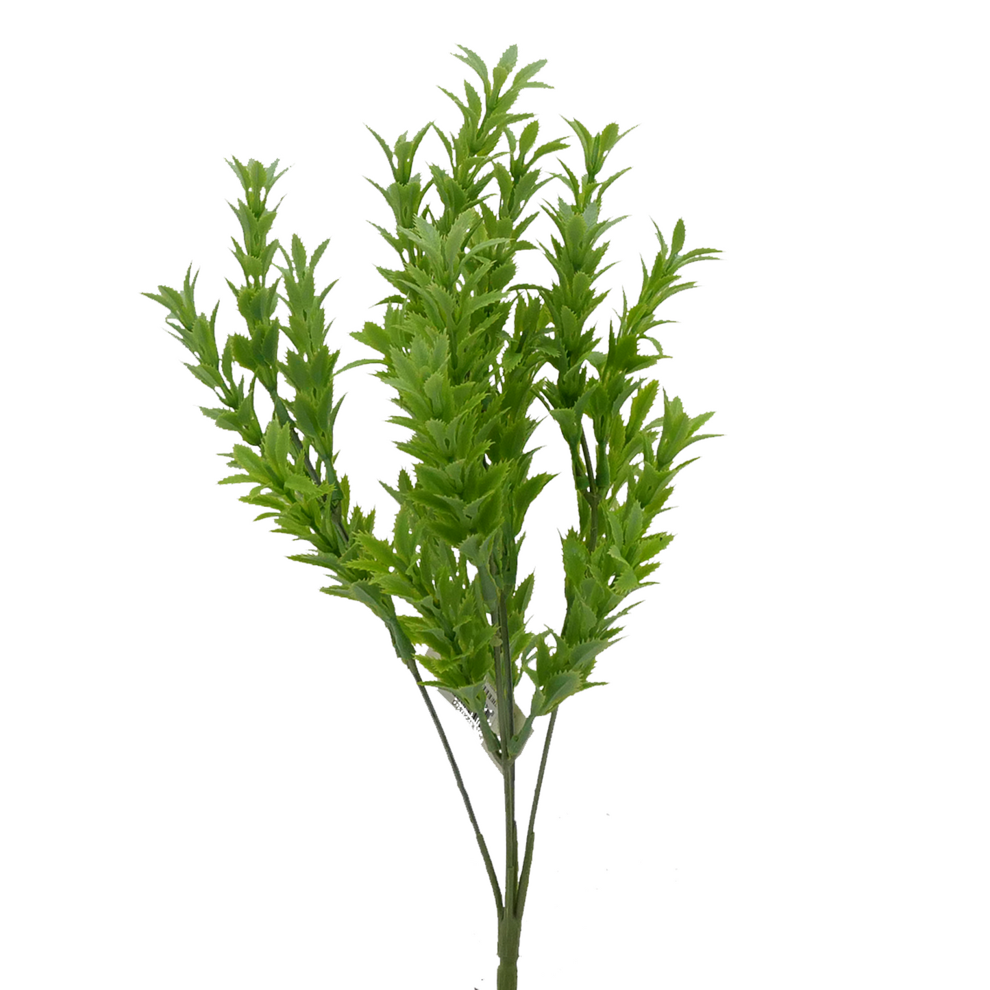 12" Mermaid Weed - LT GREEN Tideline Naturescapes