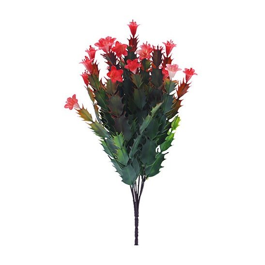 12" Desert Flower - Red Tideline Naturescapes