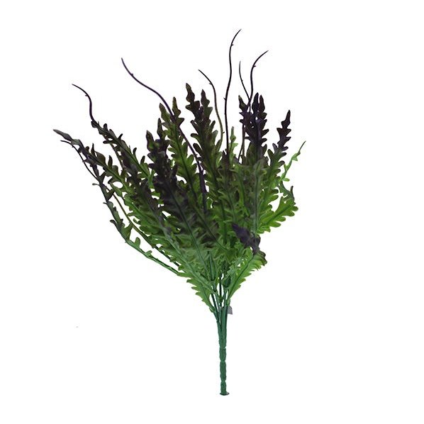 12" Kelp Blade - Purple Tideline Naturescapes