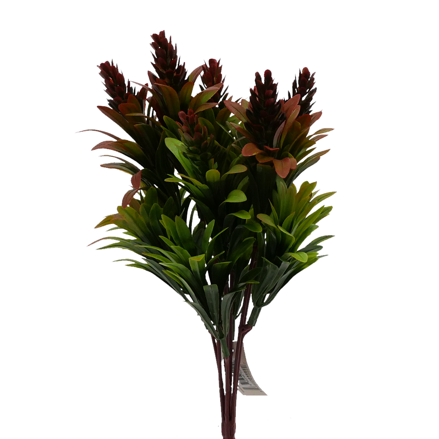 14" Bluebell Cones - RED Tideline Naturescapes