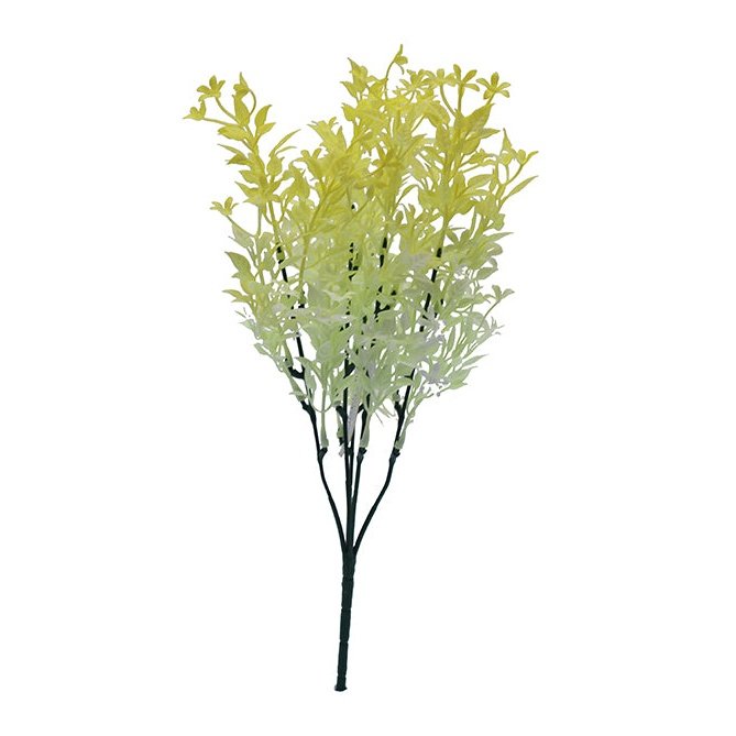 12" Ruskus - Yellow Tideline Naturescapes