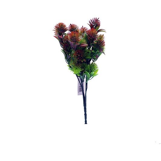 12" Bluebell Thistle - Red Tideline Naturescapes