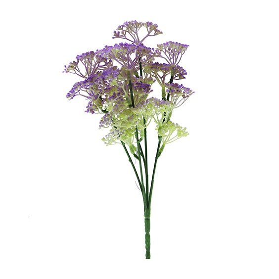 12" Queen Annes Lace - Purple Tideline Naturescapes