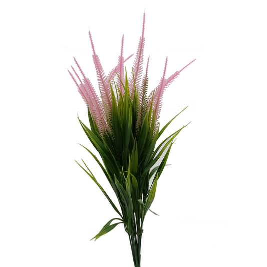 16" Tall Amaranth Grass - PINK Tideline Naturescapes