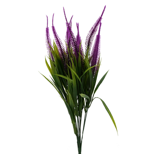 16" Tall Amaranth Grass - PURPLE Tideline Naturescapes