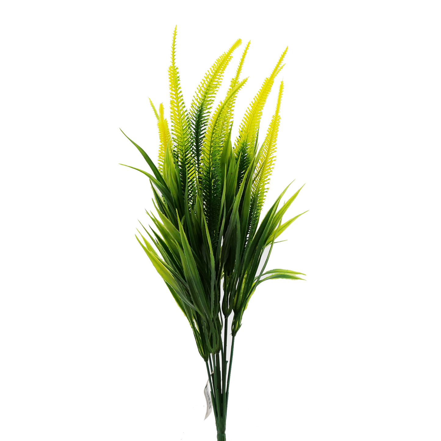 16" Tall Amaranth Grass - YELLOW Tideline Naturescapes