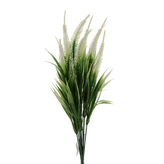 16" Tall Amaranth Grass - WHITE Tideline Naturescapes