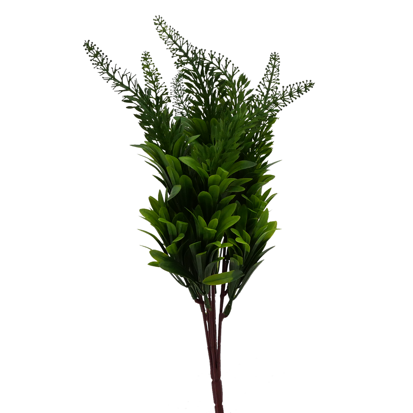 14" Bluebell Amaranth Medium - GREEN Tideline Naturescapes