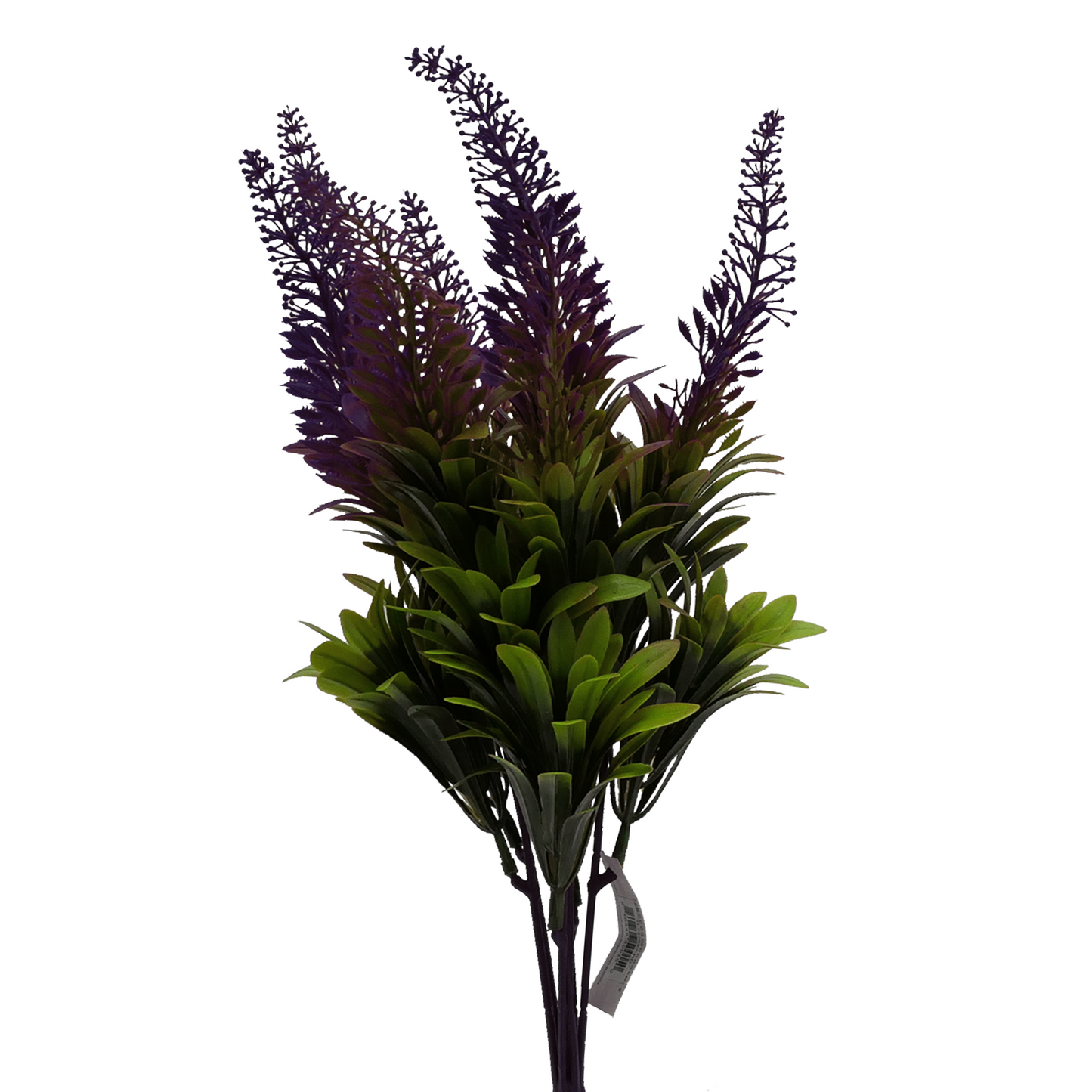 14" Bluebell Amaranth Medium - PURPLE Tideline Naturescapes