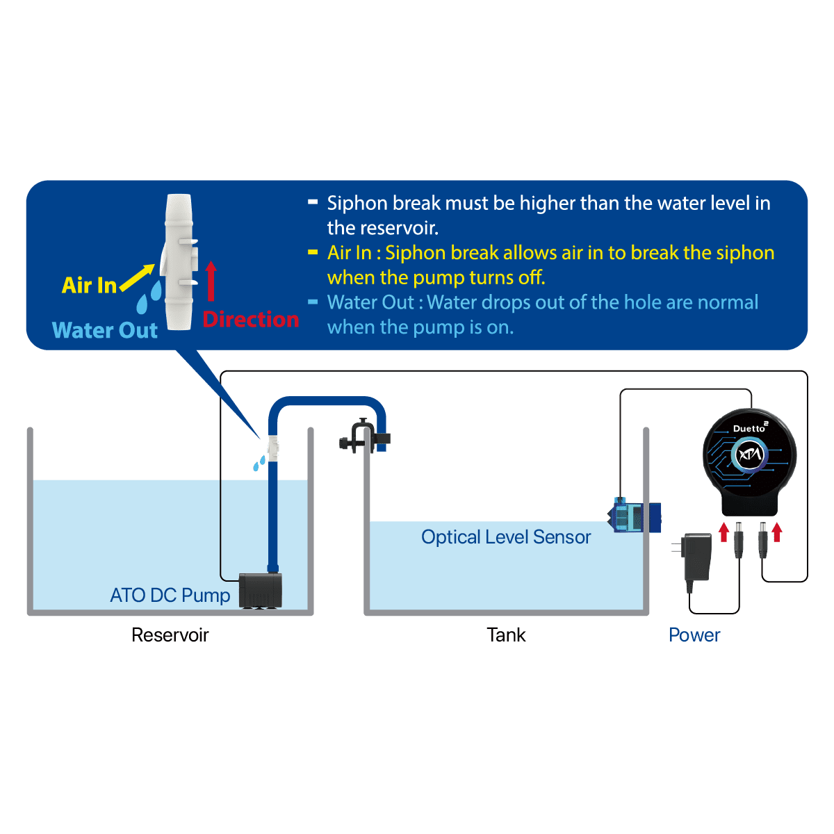 Duetto 2 ATO System XP Aqua