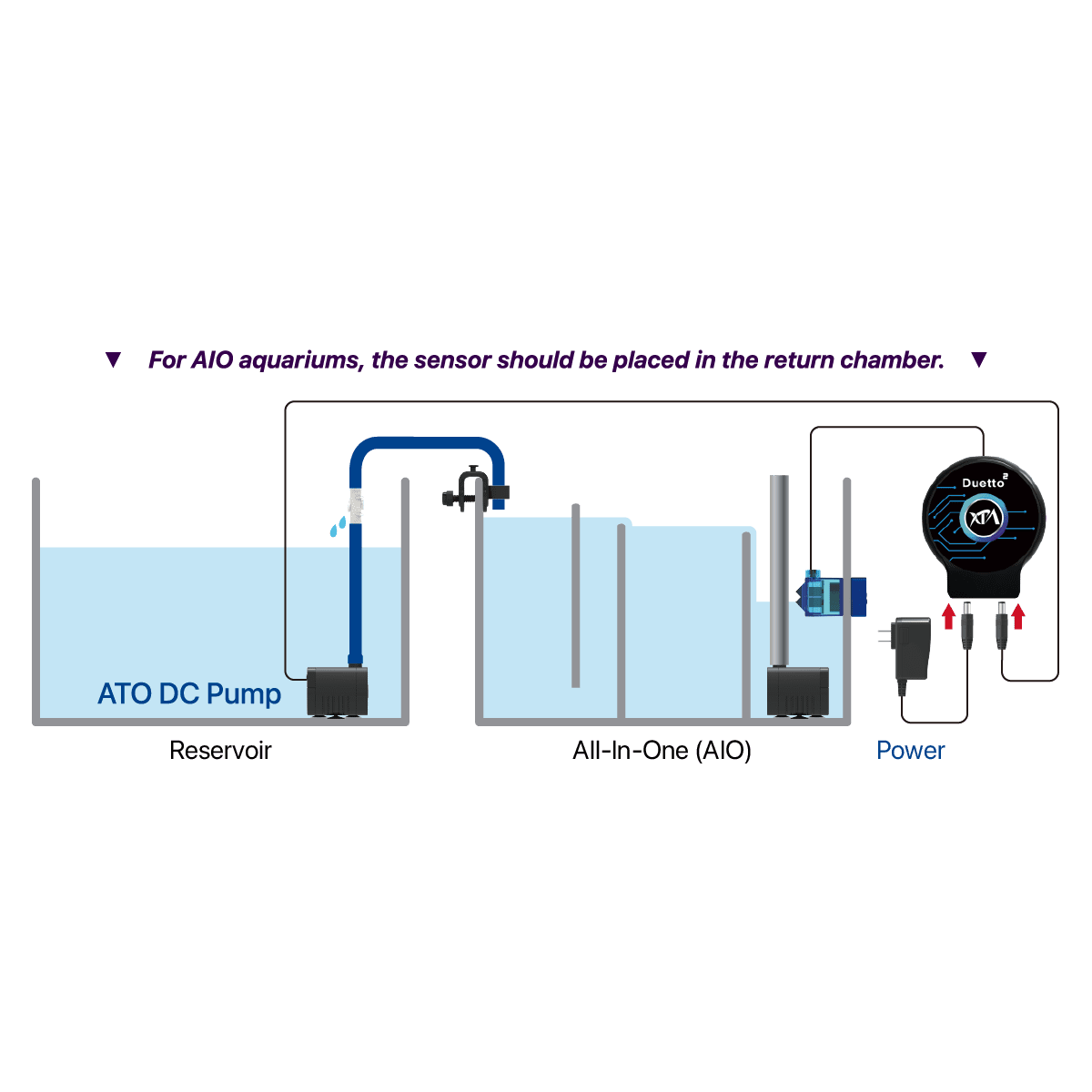 Duetto 2 ATO System XP Aqua