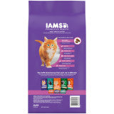 IAMS Proactive Health Kitten Dry Cat Food Chicken, 1ea/3.5 lb