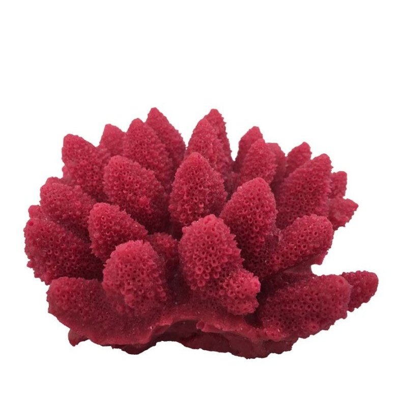 Weco Products South Pacific Coral Acorapora Humilis Ornament Rose, 1ea/SM