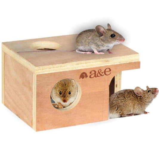 A & E Cages Small Animal Hut Mouse, Wood, 1ea/5 1/4 in X 3 7/8 in X 3 in