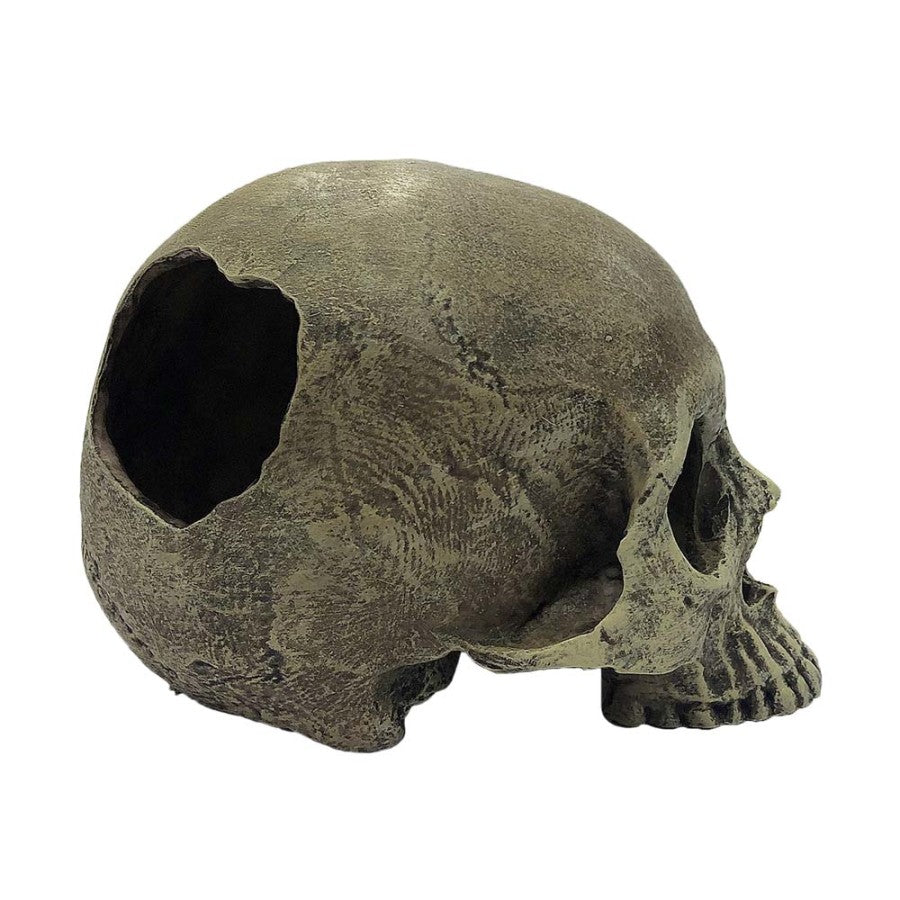 Komodo Half Human Skull Reptile Hideout Gray, 1ea/One Size