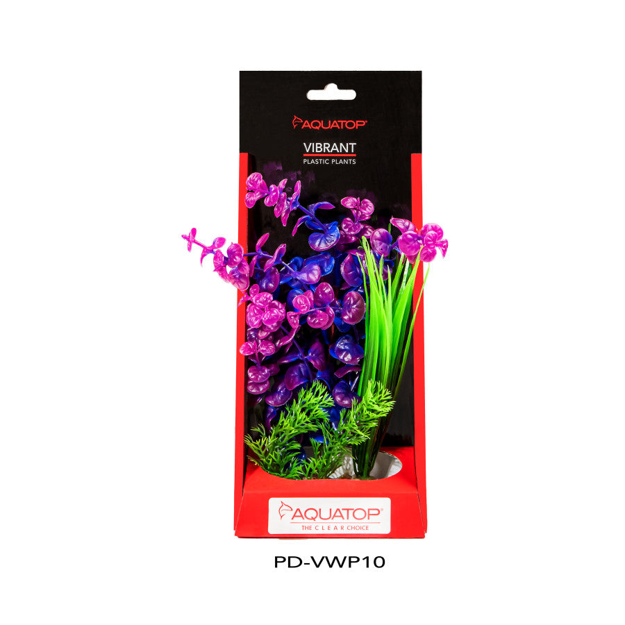 Aquatop Vibrant Wild Plant Purpleberry, 1ea/10 in