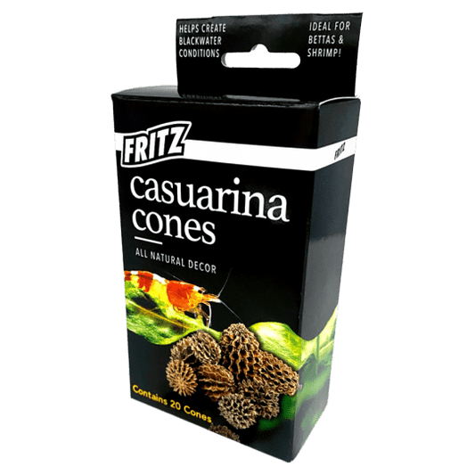 Casuarina Cones  Fritz