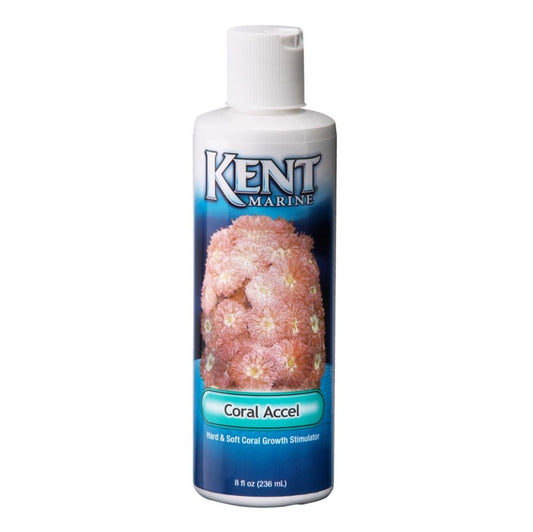 Kent Marine Accel Hard and Soft Growth Stimulator Bottle Coral, 1ea/8 fl oz