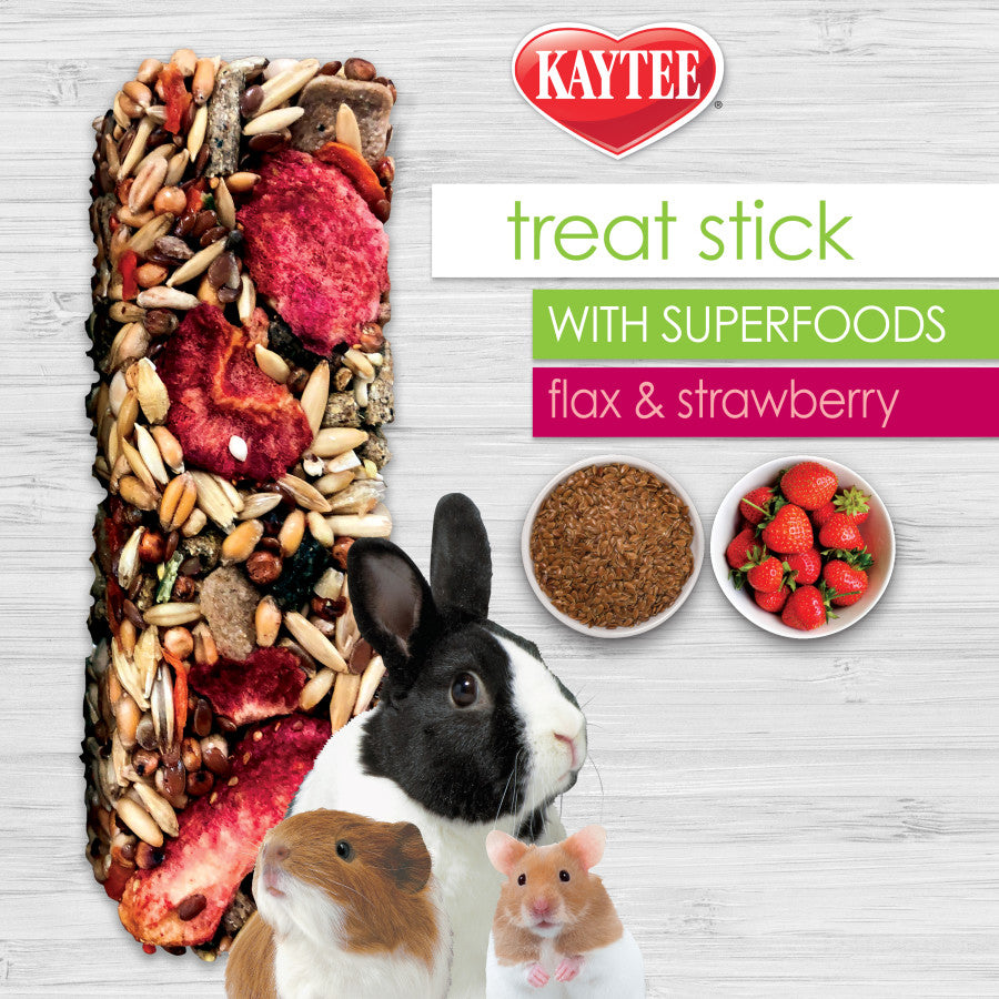 Kaytee Treat Stick with Superfoods 1ea/5.5 oz